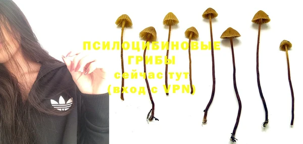 эйфоретик Алексин