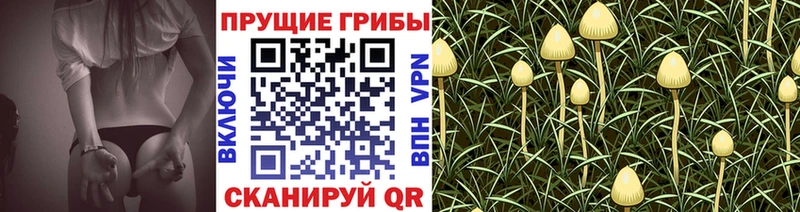 Псилоцибиновые грибы MAGIC MUSHROOMS  Новая Ляля 